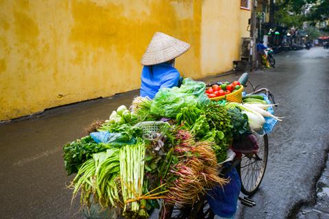 16-daagse familierondreis Vietnam