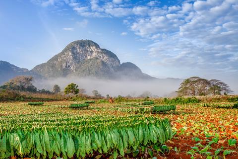 23 daagse fly drive Cuba Compleet