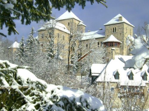 Kasteel Schloss am See Fischhorn Combi van de 6 appartementen - 42 personen