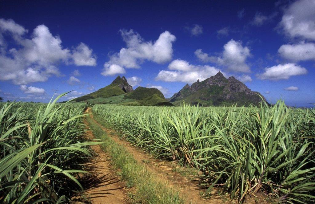 Startpakket Mauritius