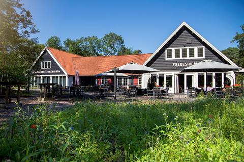Singlereis Kerst Wandelen Kop van Overijssel