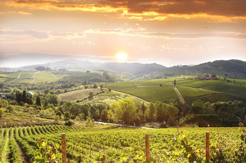 8-daagse rondreis Toscane Umbrië en Rome
