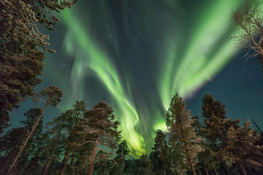 4 daagse excursiereis Muotka Wilderness Hotel