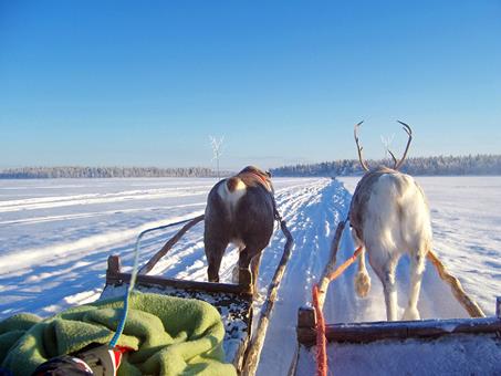 8 daagse excursiereis Explore and Experience Ruka