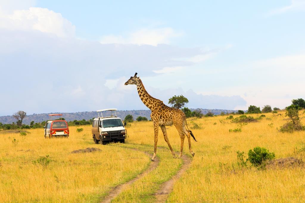 16 daagse safari The Mombasa Rendez Vous