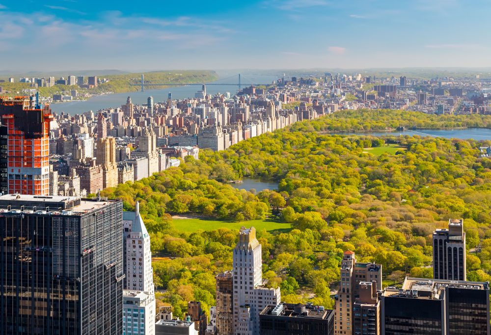 New York & Cape Cod