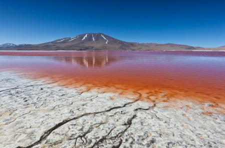 Rondreis ECUADOR, PERU, BOLIVIA & CHILI - 59 dagen; Besneeuwde toppen en weidse vlaktes
