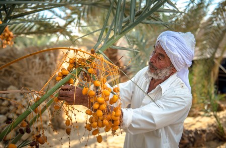 Rondreis EGYPTE - 23 dagen; Verrassend Egypte