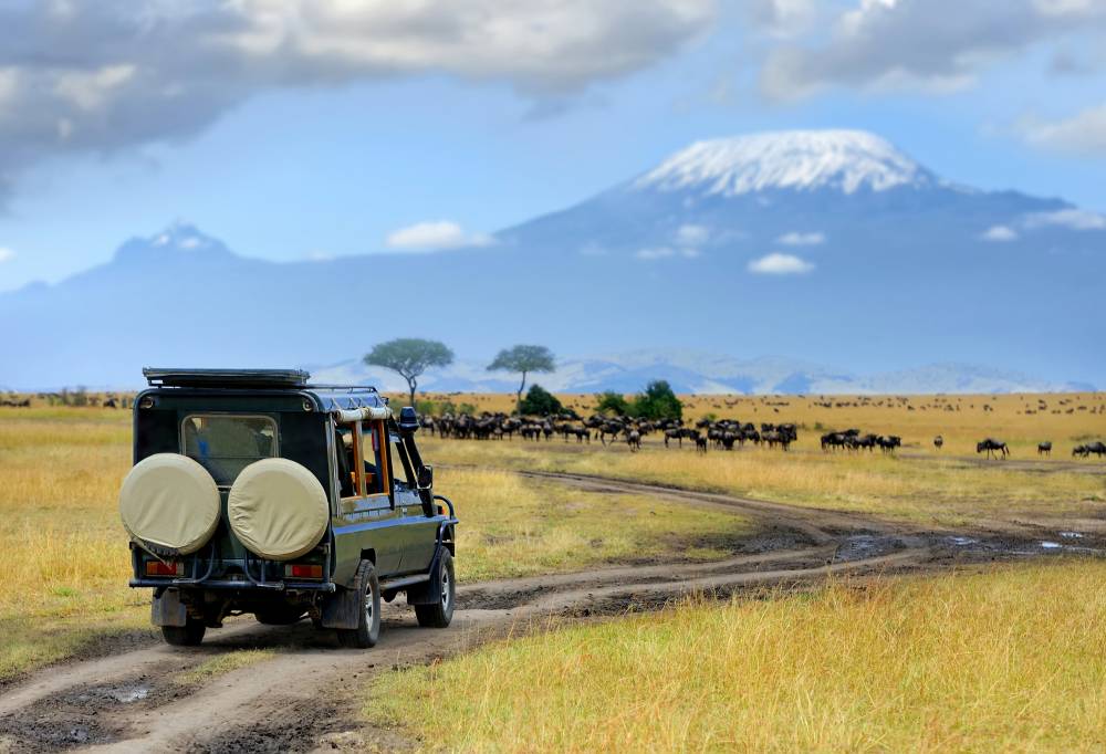 Safari Discover Kenia