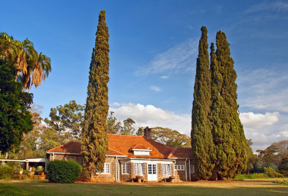 Olifanten, giraffen en Out of Africa