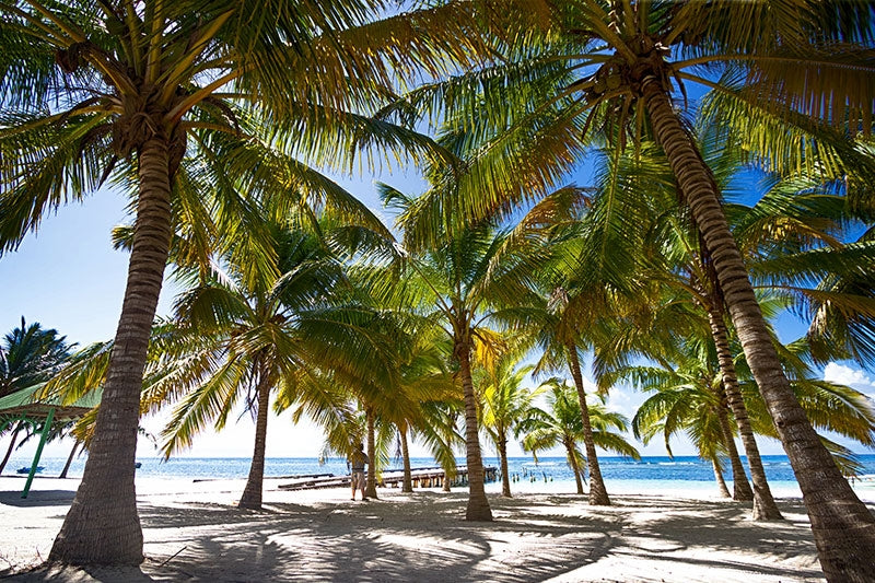 Familiereis COLOMBIA CULTUUR & STRAND - 21 dagen; Avontuurlijk, vrolijk en anders!