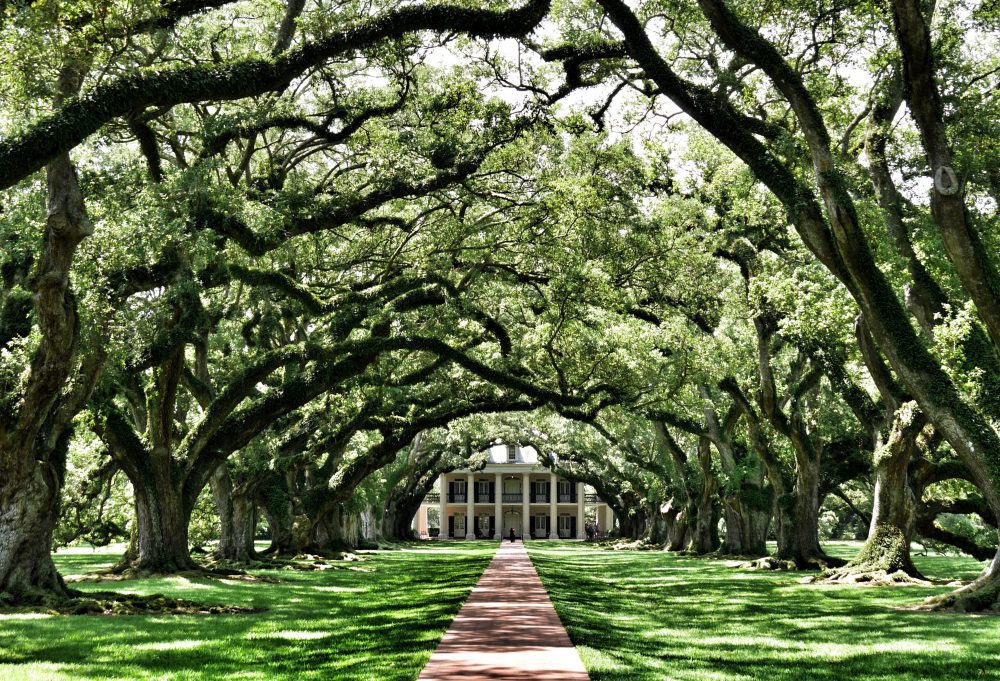 Zuidelijke Charme van Mississippi