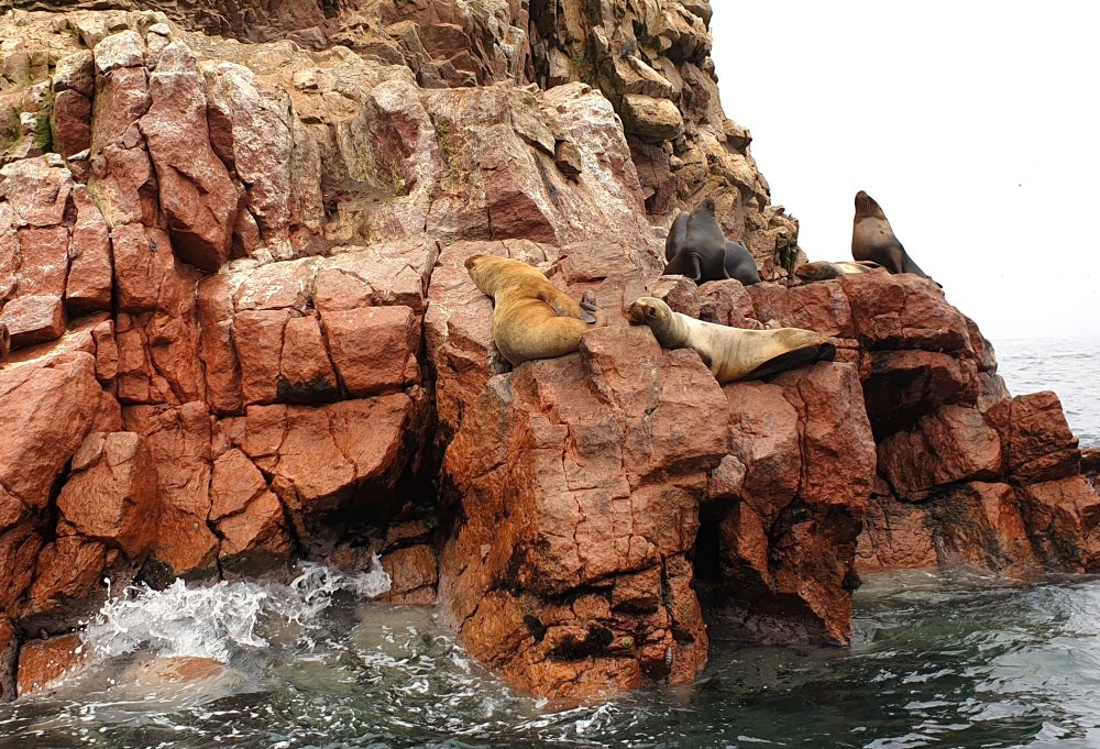 Grand Tour Zuidelijk Peru