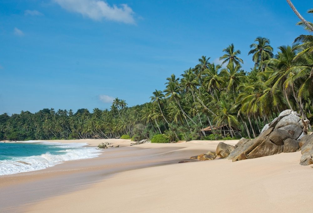 Best Deal Grand Tour Ceylon