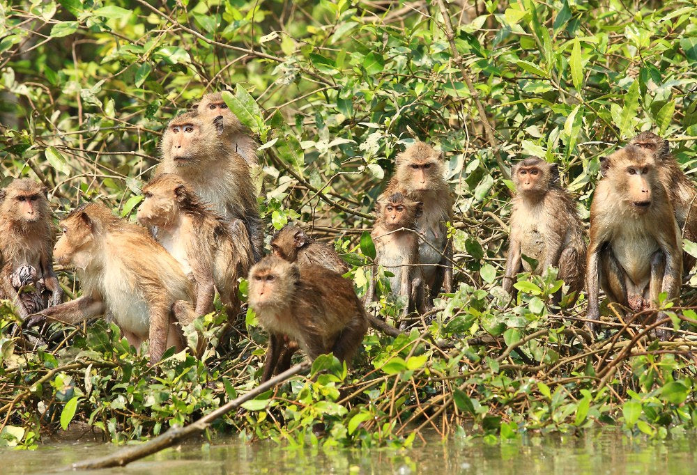 Bangkok, Khao Yai en Koh Samet