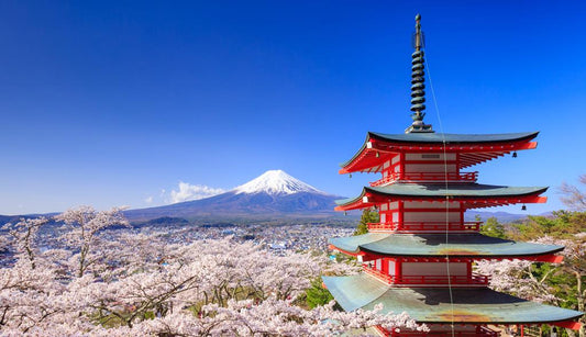 18 dg cruise Japan Westerdam