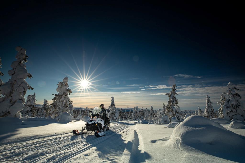 4 daagse excursiereis Kieppi Wilderness Hotel