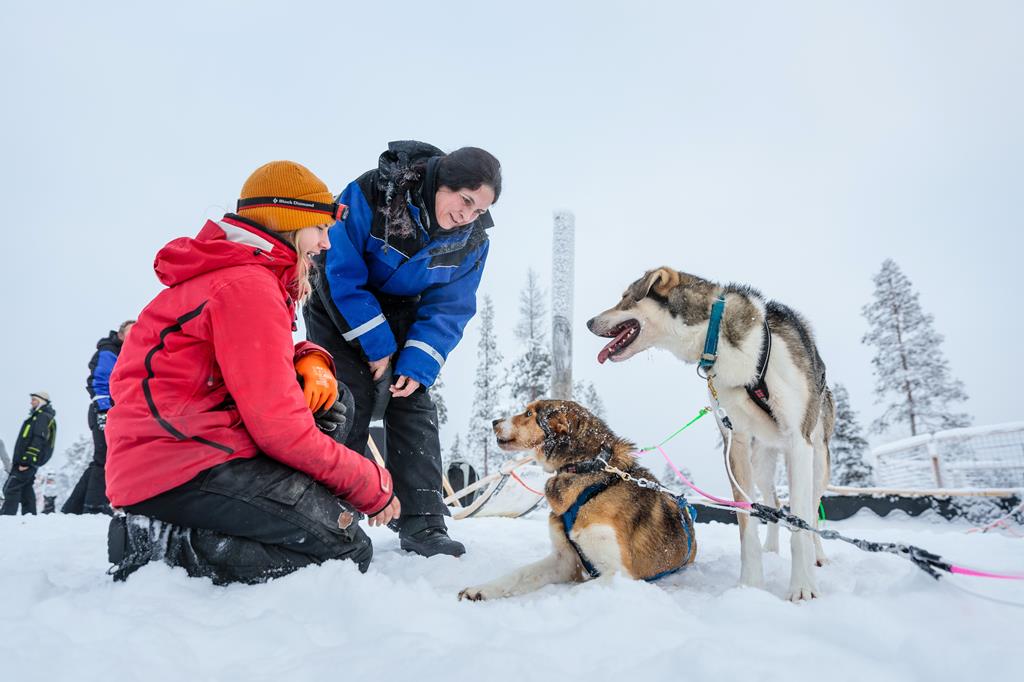 5 daagse excursiereis Muotka Wilderness Hotel