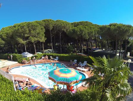 Free Beach Happy Camp