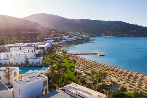 Voyage Torba