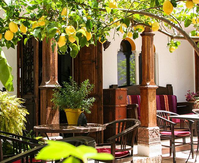 La Posada del Angel