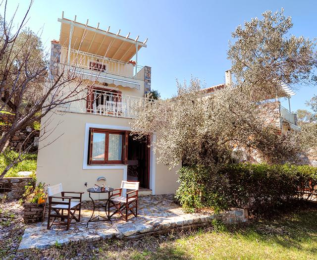 Gera's Olive Grove