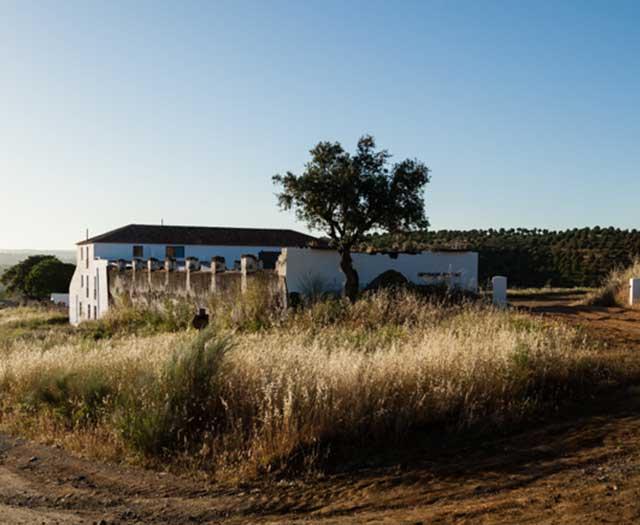 Herdade do Vau
