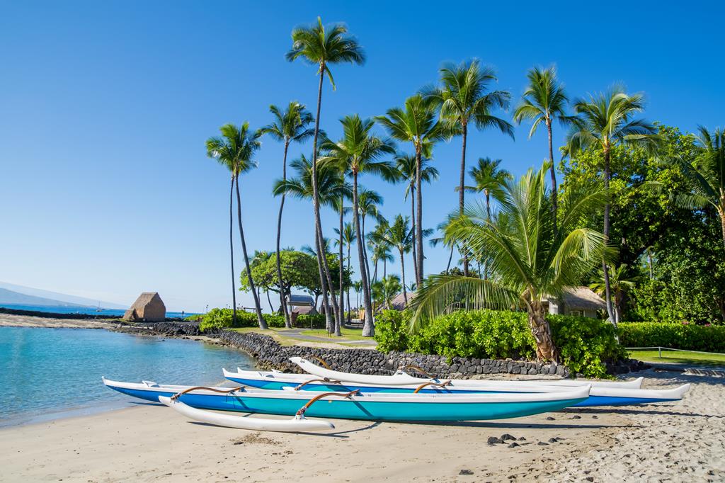 19 dg cruise Hawaii Zaandam