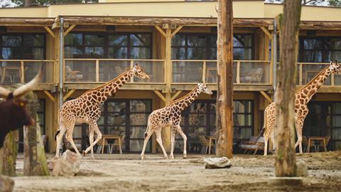 Safari Hotel Beekse Bergen