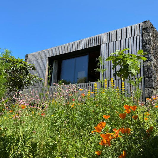 Quinta dos Peixes Falantes