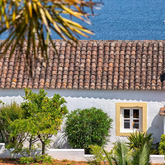 Olival de Sao Filipe