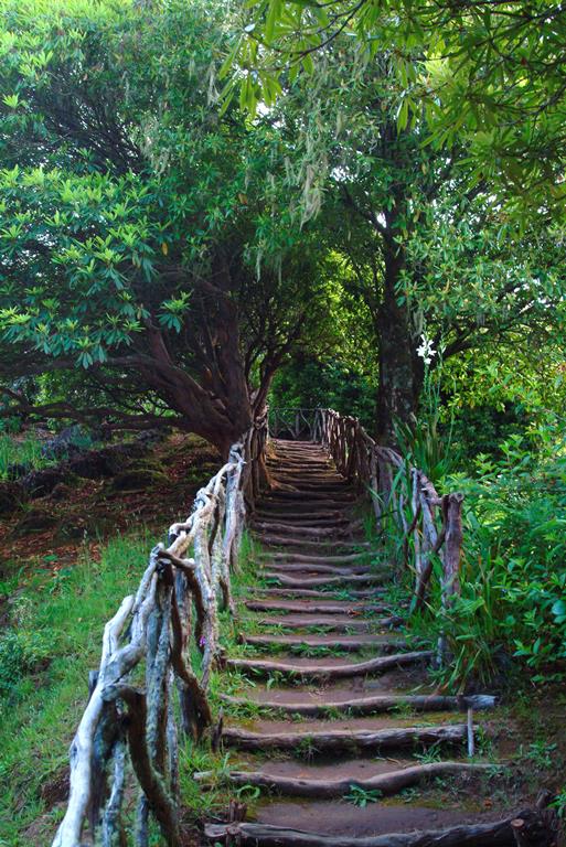 10 daagse fly drive Romantisch Madeira