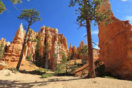 18 Daagse flydrive California & Red Rock Country