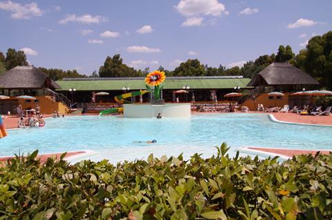 Free Time Happy Camp