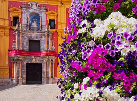 13 dg cruise Canarische Eil Celebrity Infinity