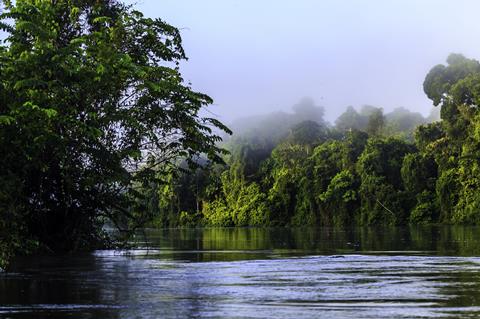 13 daagse fly drive Schitterend Suriname