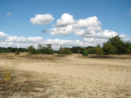 5 dg singlereis Fietsen door Bourgondisch Brabant