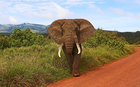 13 daagse safari het beste van Tanzania & Zanzibar