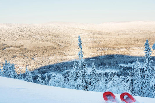 8 daagse fly drive Zweeds winter wonderland