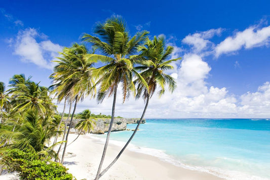 18 dg cruise Trans Atlantisch MSC Virtuosa