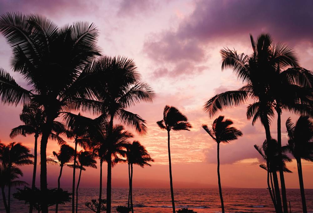 Islandhopping Hawaii Oahu & Maui