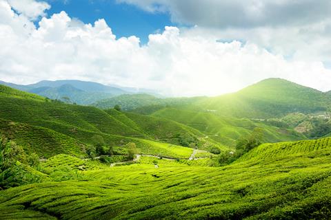 16-daagse rondreis Highlights van MaleisiÃ«