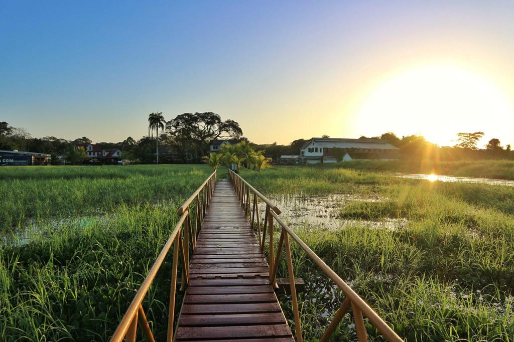 10 daagse reis a taste of Suriname