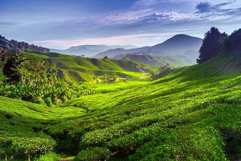 18-daagse rondreis MaleisiÃ« en Borneo