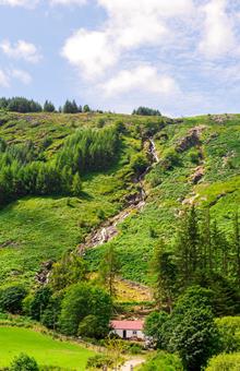 8 daagse wandelreis Ierland Wicklow Way