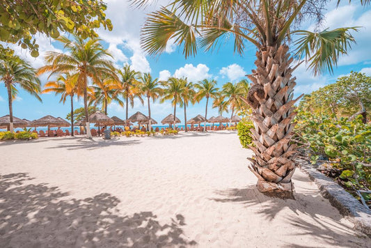 8 dg cruise Caribische Zee Celebrity Xcel