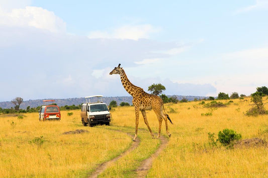 16 daagse safari The Mombasa Rendez Vous