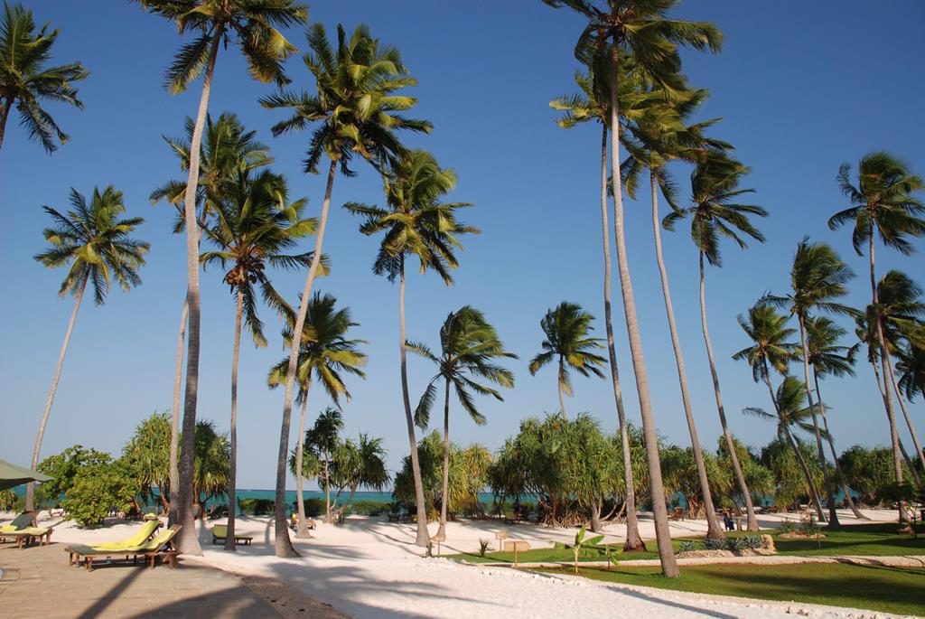 13 daagse safari The Mombasa Rendez Vous