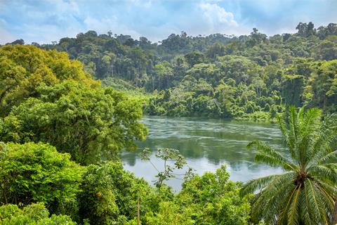 16 daagse fly drive Suriname Compleet