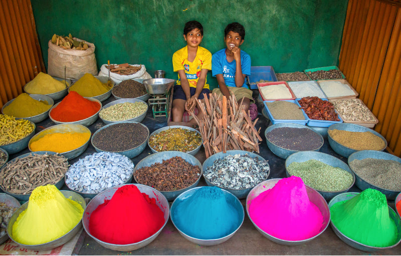 Rondreis ZUID-INDIA - 30 dagen; Rijkdom van geuren en kleuren